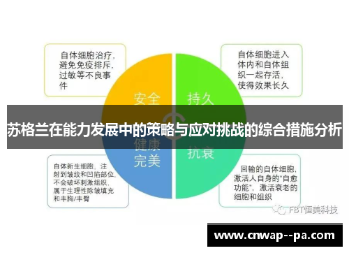 苏格兰在能力发展中的策略与应对挑战的综合措施分析