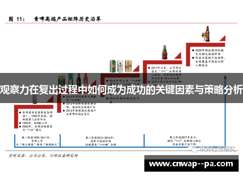 观察力在复出过程中如何成为成功的关键因素与策略分析